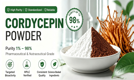 Cordycepin Powder Quality Standards: Purity, Testing, and Extraction Process